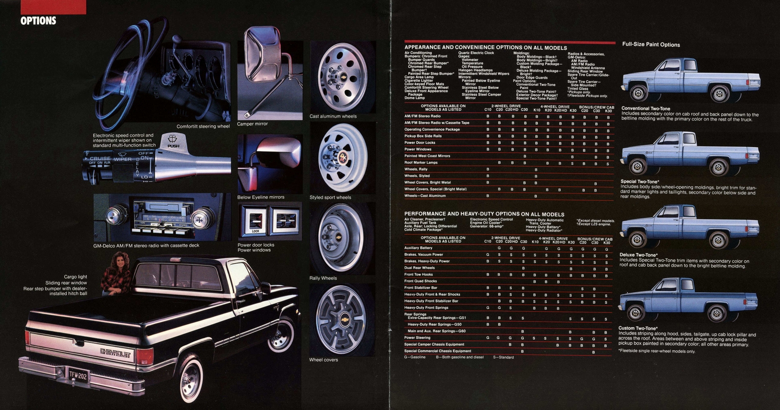n_1985 Chevrolet Full-Size Pickups-12-13.jpg